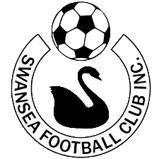 Swansea Football Club